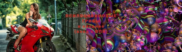 ECSTASY Медногорск