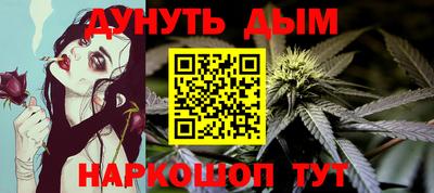 шишки Дубна