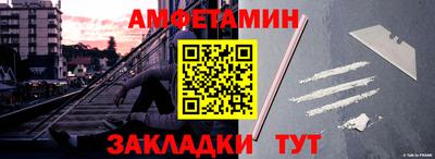 шишки Дубна