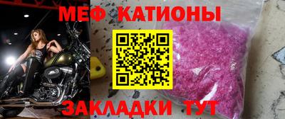шишки Дубна