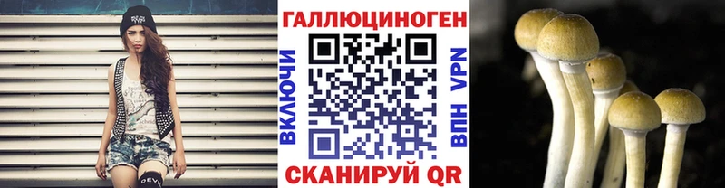 хочу   Новоалтайск  Галлюциногенные грибы мицелий 
