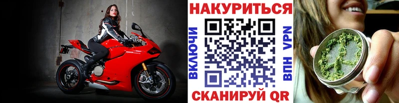 Конопля Amnesia  гидра ССЫЛКА  Новоалтайск  купить наркотики сайты 